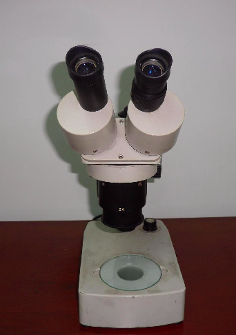 Shank Machining-Microscope